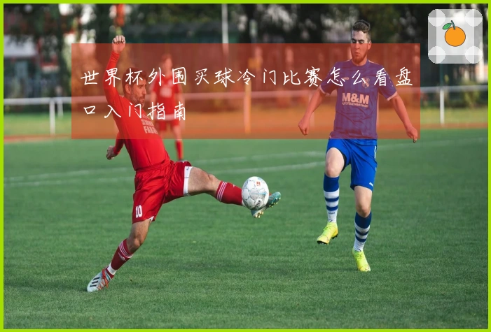 世界杯外围买球冷门比赛怎么看盘口入门指南