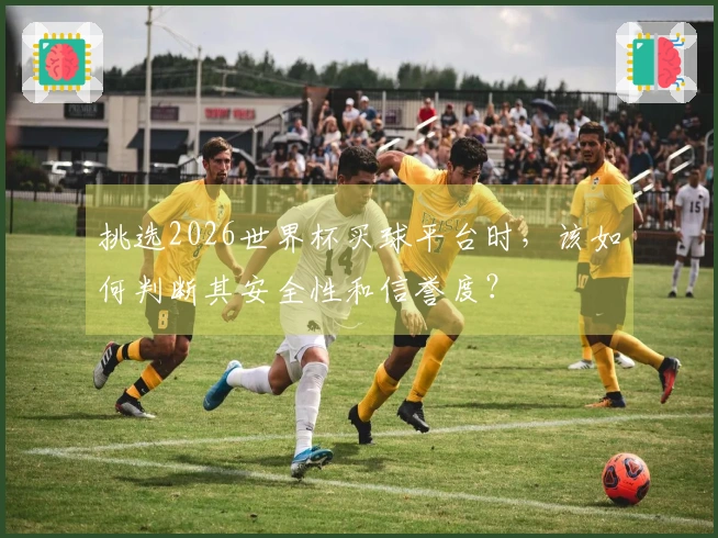挑选2026世界杯买球平台时，该如何判断其安全性和信誉度？