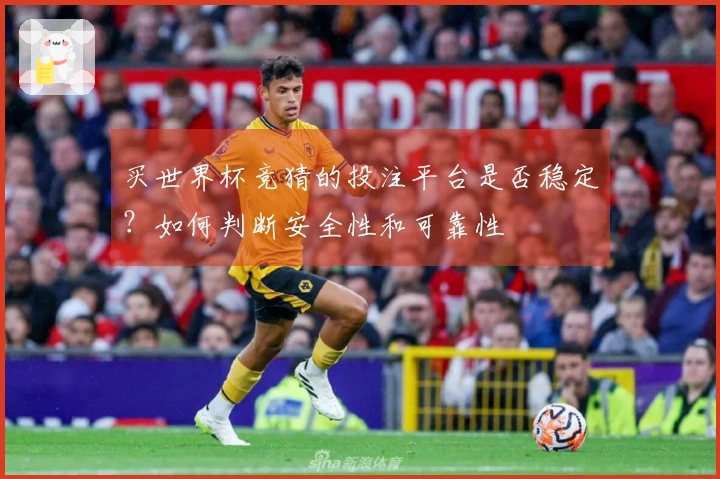 买世界杯竞猜的投注平台是否稳定？如何判断安全性和可靠性
