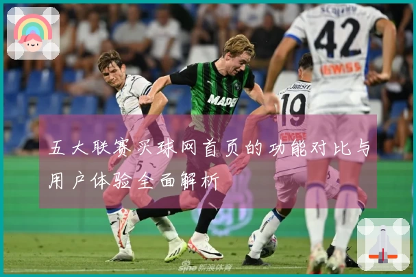 五大联赛买球网首页的功能对比与用户体验全面解析