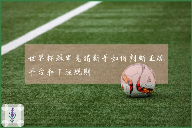 世界杯冠军竞猜新手如何判断正规平台和下注规则