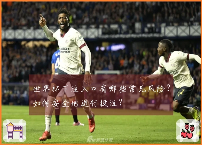 世界杯下注入口有哪些常见风险？如何安全地进行投注？