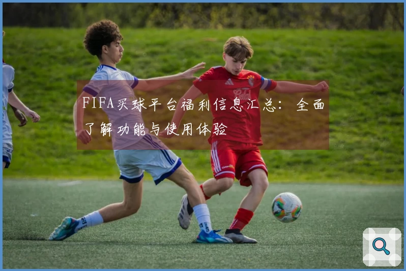 FIFA买球平台福利信息汇总：全面了解功能与使用体验