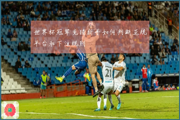 世界杯冠军竞猜新手如何判断正规平台和下注规则