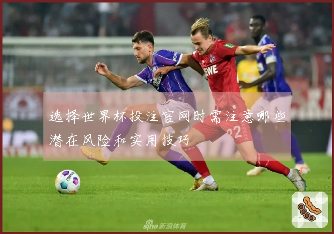 选择世界杯投注官网时需注意哪些潜在风险和实用技巧