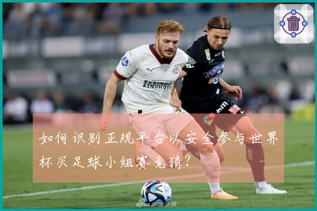 如何识别正规平台以安全参与世界杯买足球小组赛竞猜？