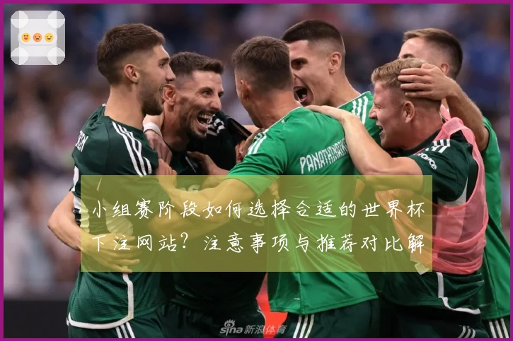 小组赛阶段如何选择合适的世界杯下注网站？注意事项与推荐对比解析